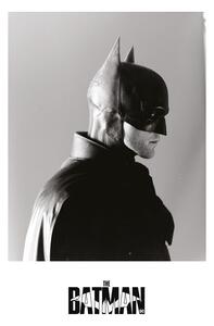 Poster de artă The Batman 2022 - Bat profile, (26.7 x 40 cm)