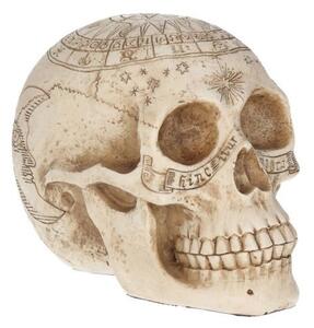 Statuetă Craniu astrologic 20 cm