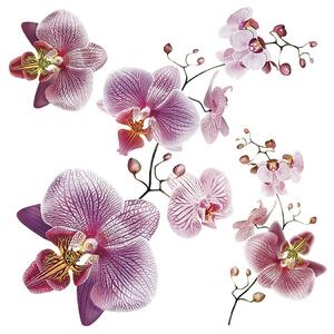 Decorațiune autocolantă Orhidee, 30 x 30 cm