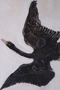 Artă imprimată The Black Swan (2 of 2) - Hilma af Klint, (26.7 x 40 cm)