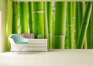 Fototapet Bamboo