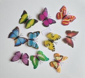 10 Fluturasi 3D Colorati