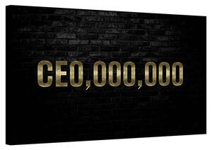 Entrepreneur - CE0,000,000