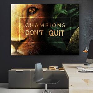 Champions don&#039;t quit