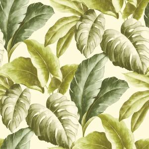 DUTCH WALLCOVERINGS 426248 Wallpaper Tropical Leaves Green and White BA2401