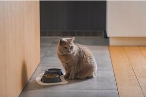 Castron, bol, plat, pentru caine, pisica, suporti antiderapanti, PET reciclat, gri deschis, 13x13x3.6 cm