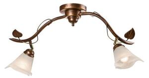 Lampă spot BLUSZCZ 2xE14/40W/230V