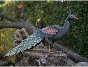 Figurina metal Peacock, 51x26x93 cm