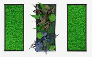 Set de 3 tablouri decorate cu licheni stabilizati si plante criogenate