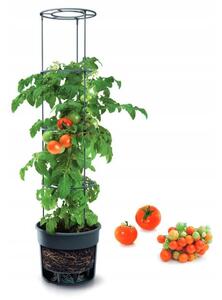 Ghiveci decorativ pentru rosii, rotund, antracit, 39.2x31.5x153 cm, Tomato Grower