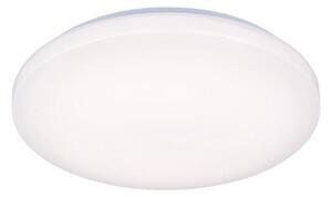 Plafonieră LED OPAL LED/50W/176-264V