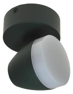 Plafonieră LED SURMUR LED/6W/230V verde