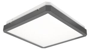 Plafonieră LED cu senzor RAVA LED/38W/230V 4000K 41x41 cm antracit