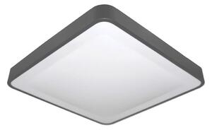 Plafonieră LED cu senzor WILTON LED/24W/230V 4000K 33x33 cm antracit