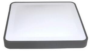 Plafonieră LED cu senzor WILTON LED/24W/230V 4000K 33x33 cm antracit