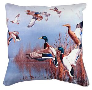 Perna, A10952, 43x43 cm, 50% bumbac / 50% poliester, Multicolor