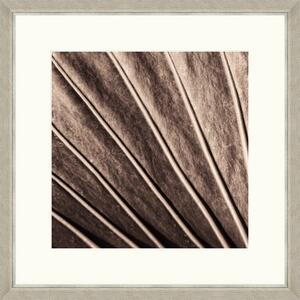 Tablou 4 piese Framed Art Sepia Palm Texture