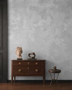 Tapet Textură de culoare gri perlat deschis, cu tranziții tonale delicate, de tip noros, Fototapet Textură, w05814v1 : Uwalls.ro