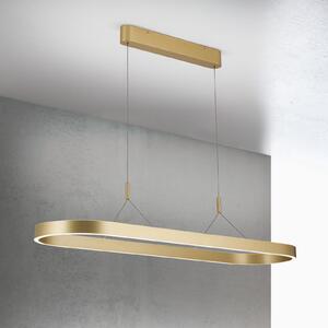 ORION Lampă suspendată LED Carrara, aur mat, reglabilă pe înălțime, CCT, reglabil, Auriu / Alamă, Camera de zi / sufragerie, Aluminiu, Modern