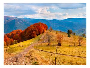 Fototapet - Autumn landscape in the Carpathian mountains