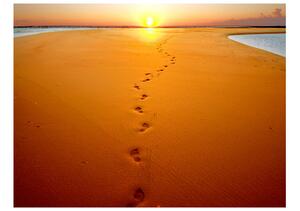 Fototapet - Footprints in the sand