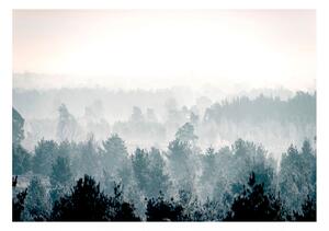 Fototapet - Winter Forest
