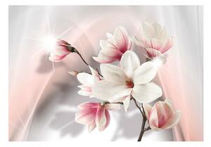 Fototapet - White magnolias