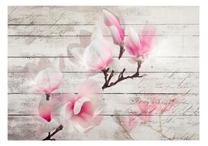 Fototapet - Gentleness of the Magnolia