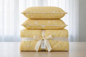 Pachet Promo Primăvară – Pilotă Dublă + 2 Perne –
