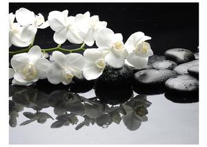 Fototapet - Spa, stones and orchid