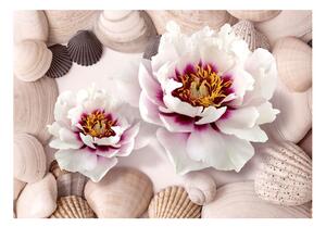 Fototapet - Flowers and Shells