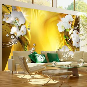 Fototapet - Orchid in Gold