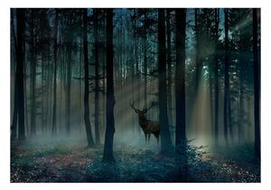 Fototapet - Mystical Forest - Third Variant