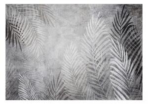 Fototapet - Palm Trees in the Dark