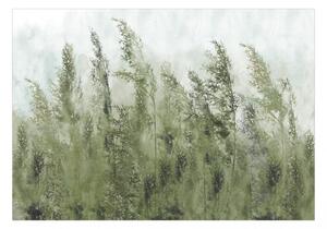 Fototapet - Tall Grasses - Green