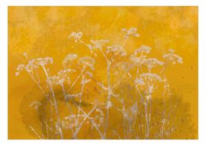 Fototapet - Meadow Bathed in the Sun