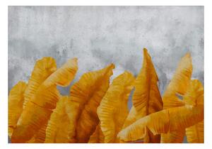 Fototapet - Banana Leaves