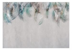 Fototapet - Colourful Feathers