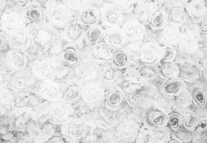 Fototapet - Trandafiri Romantici – Aspect Vintage Alb-Negru
