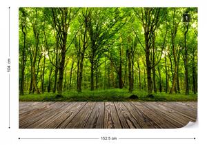 Fototapet - Pădure Verde Crud