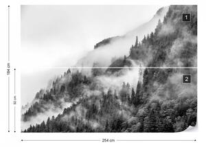 Fototapet - Ceață peste Pădure – Alb-Negru