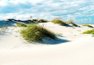 Fototapet - Peisaj cu Dune de Nisip