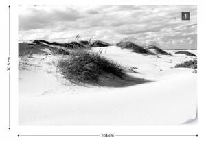 Fototapet - Peisaj cu Dune de Nisip – Alb-Negru
