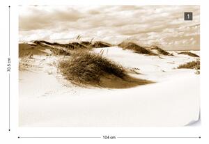 Fototapet - Peisaj cu Dune de Nisip – Sepia