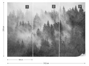 Fototapet - Pădure de Brazi în Ceață – Aspect Texturat, Alb-Negru