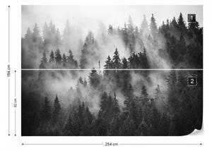 Fototapet - Pădure de Brazi în Ceață – Alb-Negru