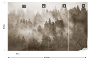 Fototapet - Pădure de Brazi în Ceață – Aspect Texturat, Sepia