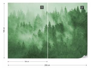 Fototapet - Pădure de Brazi în Ceață – Verde