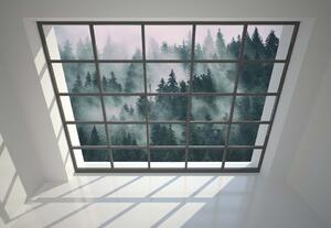 Penthouse Window Misty Forest View