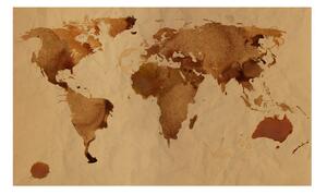 Fototapet - Tea map of the World